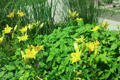 2012-06-09_11-28-00_174