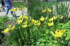 2012-06-09_11-28-02_701