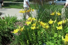 2012-06-09_11-28-05_911
