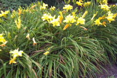 Center-20110723-00291