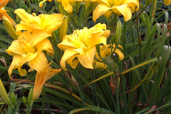 Center-20110723-00295