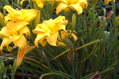 Center-20110723-00296