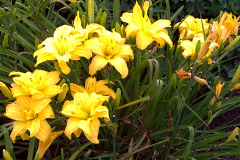 Center-20110723-00298