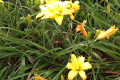 Center-20110723-00299