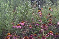 Center-20110723-00302