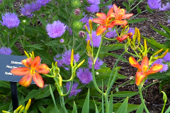Center-20110723-00309
