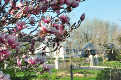 Magnolia-Misc-in-Muncie-105
