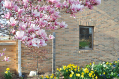 Magnolia-Misc-in-Muncie-54