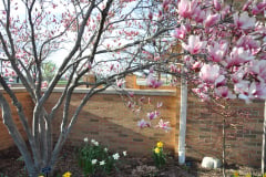 Magnolia-Misc-in-Muncie-58