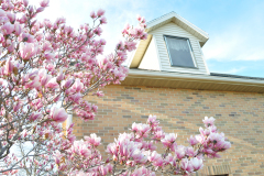 Magnolia-Misc-in-Muncie-8