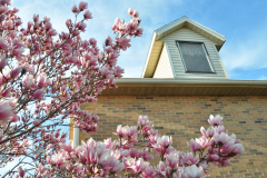Magnolia-Misc-in-Muncie-9