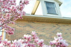 Magnolia-Misc-in-Muncie-94