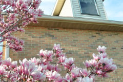 Magnolia-Misc-in-Muncie-95