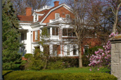 Magnolia-Trees-219