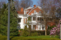 Magnolia-Trees-221