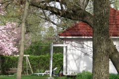 magnolias-enoch-david-4-08-047