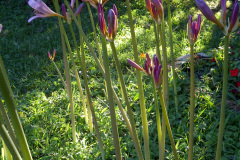 Center-20110810-00019