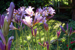 Center-20110810-00022