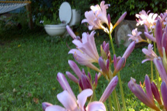 Center-20110810-00026