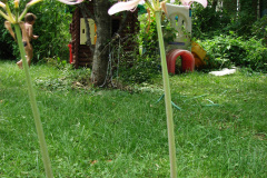 Naked-Ladies-8-08-12