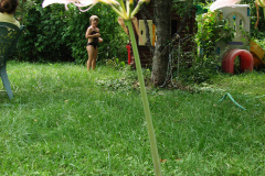 Naked-Ladies-8-08-13