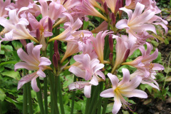 Workshop-pics-8-09-042