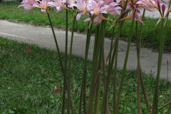 Workshop-pics-8-09-123