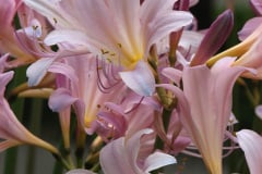 Workshop-pics-8-09-129