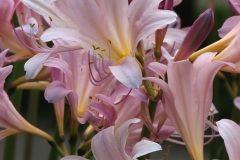 Workshop-pics-8-09-129