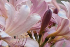 Workshop-pics-8-09-160