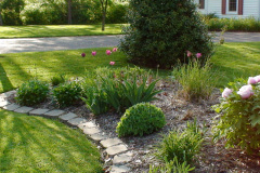Peonies-Light-Pink-69