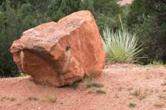 Rock on the side of the road at Garden of the Gods in Colorado Springs, Colorado