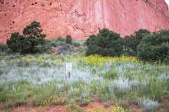 Garden of the Gods – Contrast of Red and Green Color Harmonies