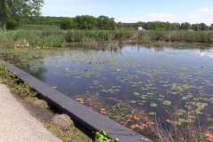 About 8 inches of height kept this road from becoming a water feature in Huron New York Near Sodus Point