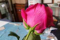 20160831_110928