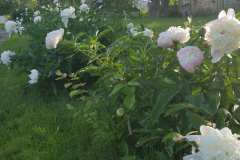 20170515_082658