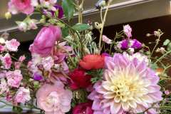 Arcata Farmer's Market - Melissa Lefebvre