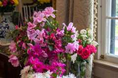 Some of the Azaleas Beth brought back – I used them to paint the demo from life