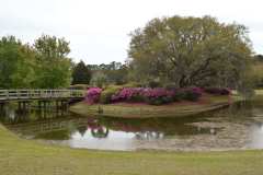 The family farm 45 minutes from the Kiawah Island Workshop – photo by Beth