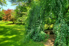 Boxerwood-Nature-Center-and-Woodland-Garden-in-Lexington-VA-by-Karen-Stanley-3