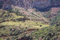 Cliffs-in-Utah1