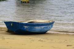 DSC0011-1
