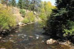 Colorado River, Trees, and Fall Grasses
