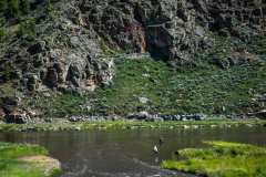 Fishing-Colorado-Mountain-River-1024x683-1
