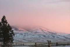 IMG_1956