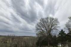 Clouds and Winter Trees