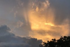IMG_2201-scaled