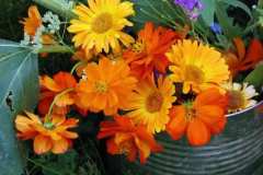 Marigolds and Daisies