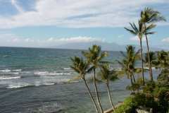 Maui