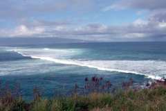 Surfing in Hawaii